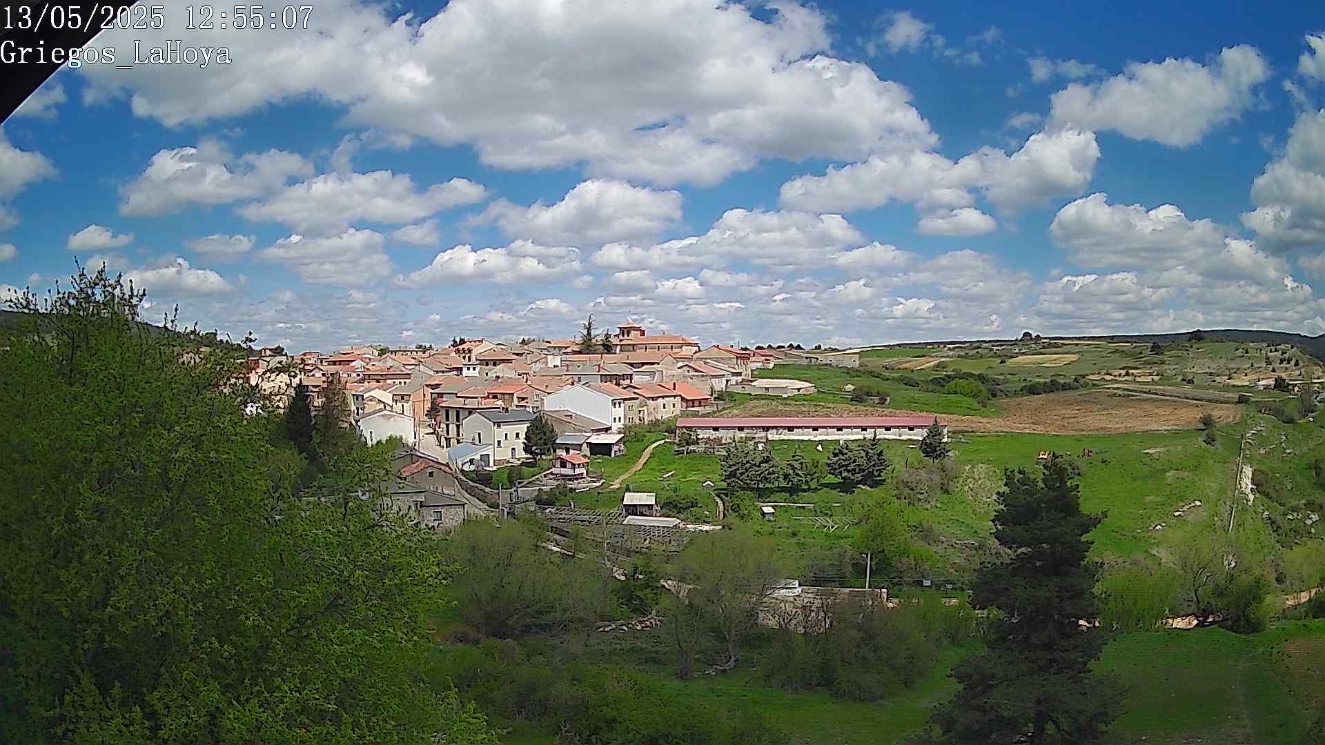 Webcam en Griegos - La Hoya