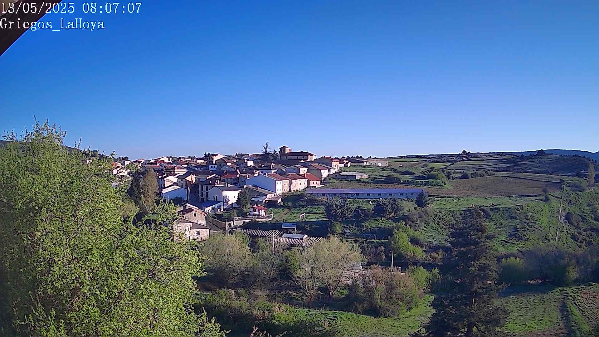 Webcam en Griegos - La Hoya