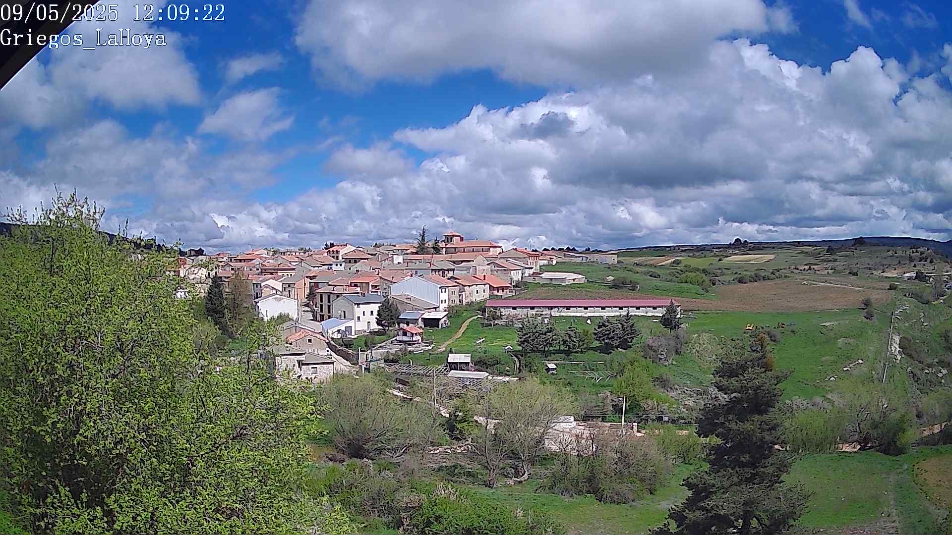 Webcam en Griegos - La Hoya