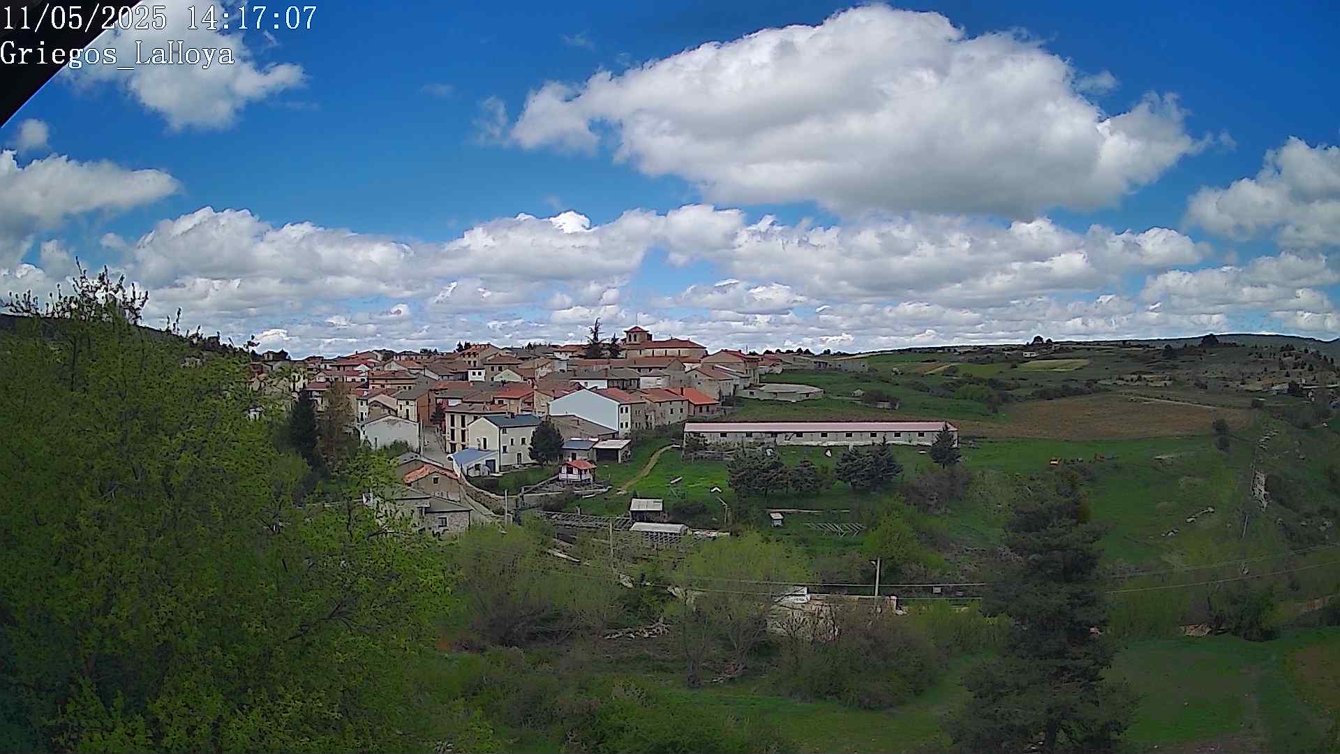Webcam en Griegos - La Hoya