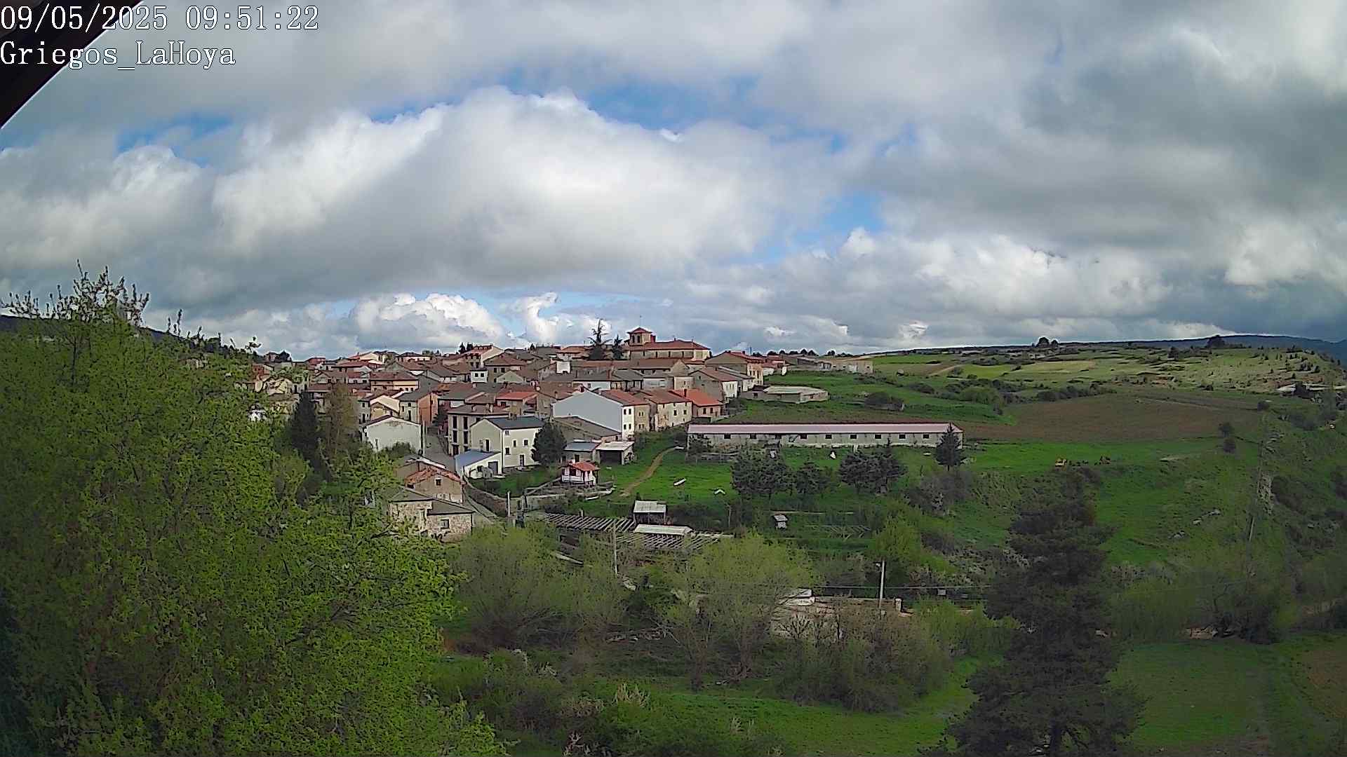 Webcam en Griegos - La Hoya