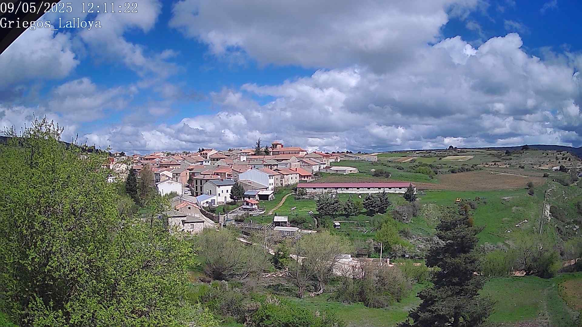 Webcam en Griegos - La Hoya