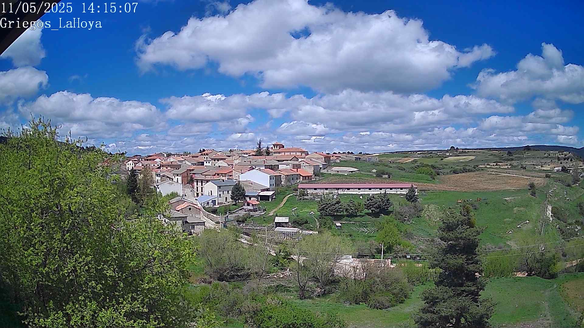 Webcam en Griegos - La Hoya
