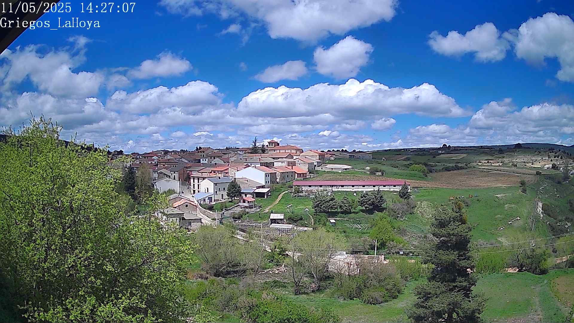 Webcam en Griegos - La Hoya