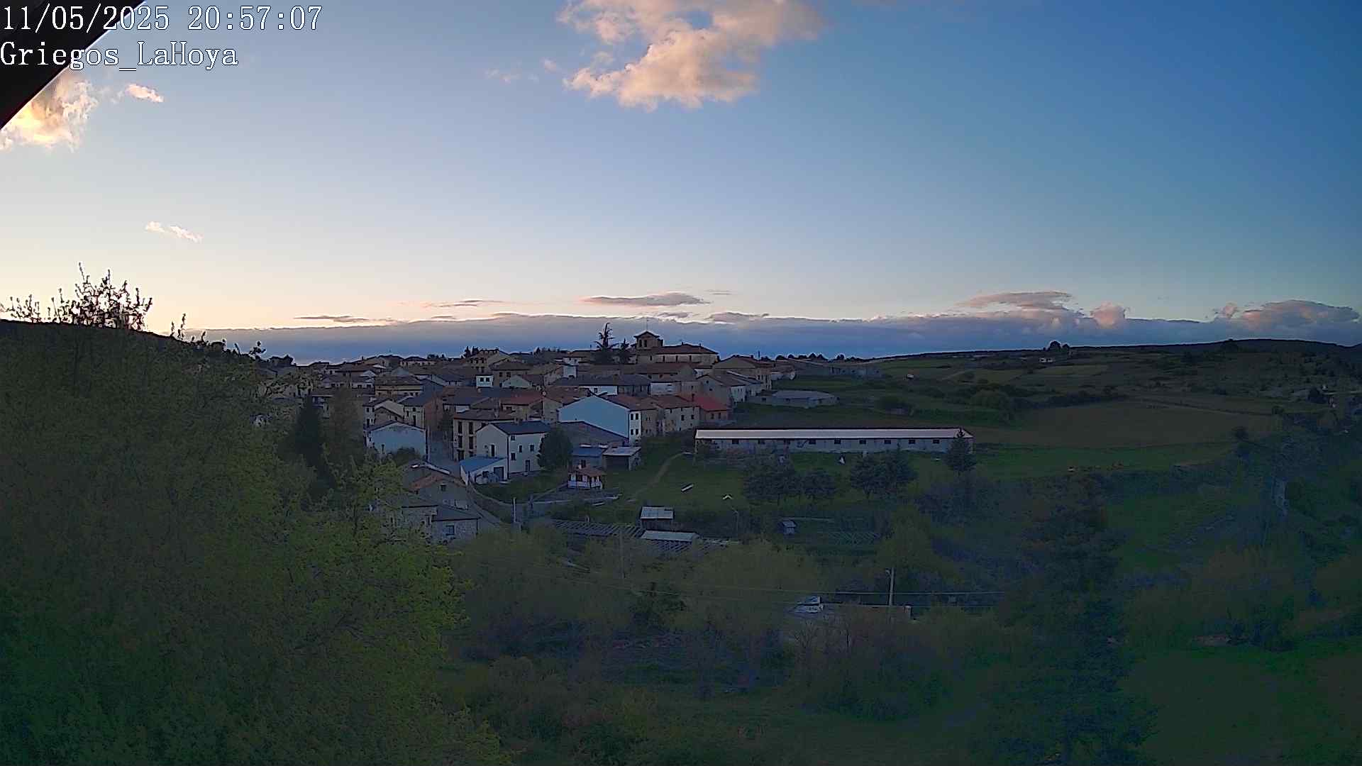 Webcam en Griegos - La Hoya
