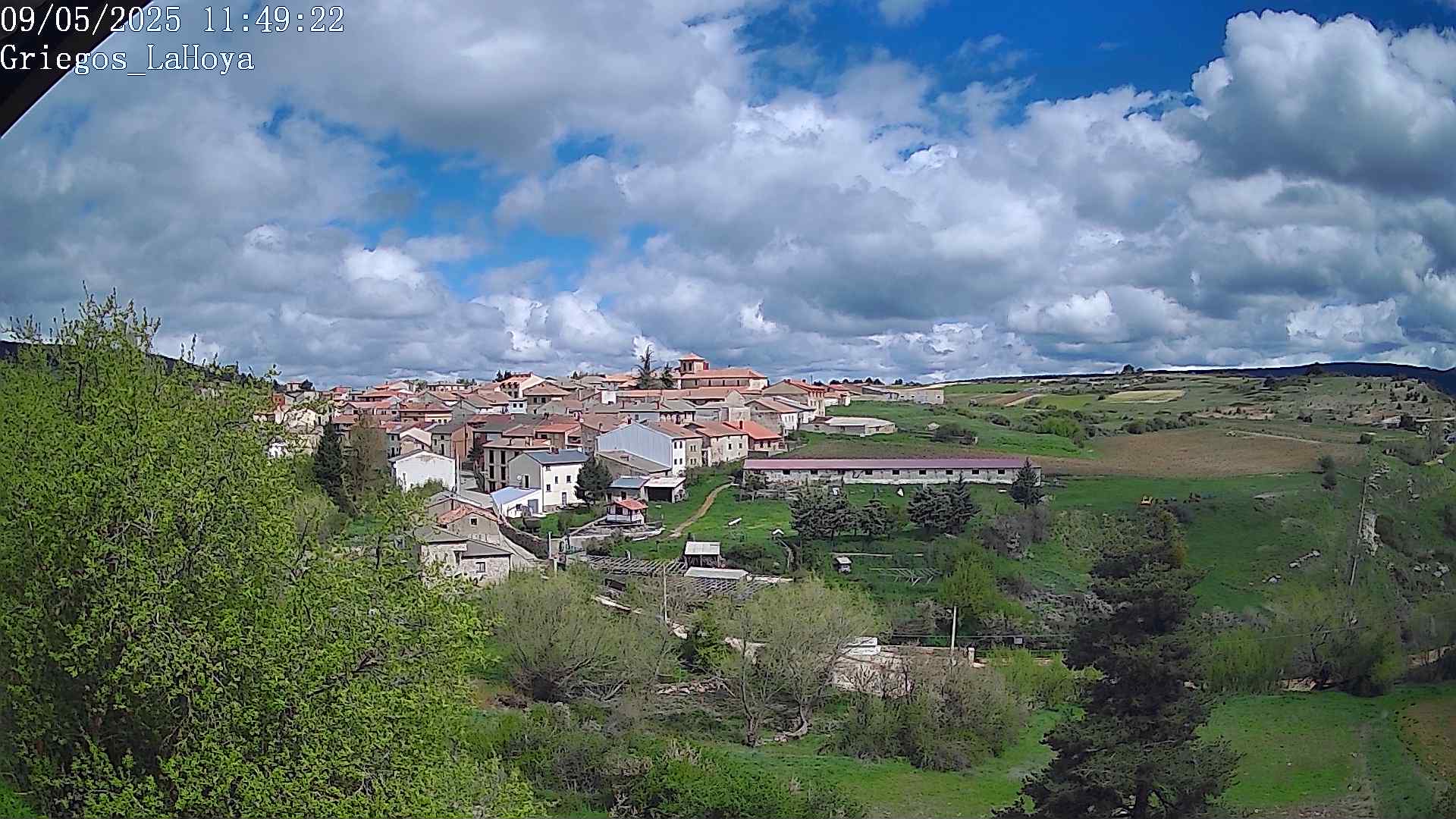 Webcam en Griegos - La Hoya