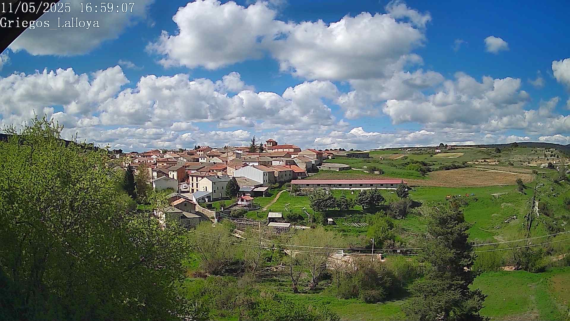 Webcam en Griegos - La Hoya