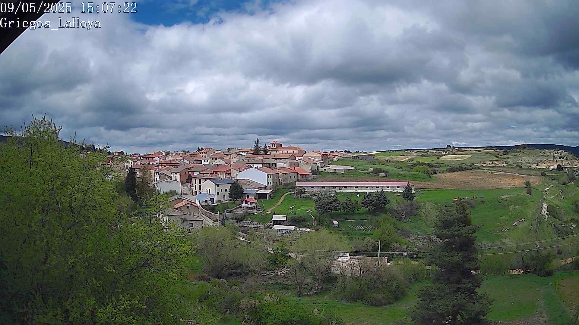 Webcam en Griegos - La Hoya