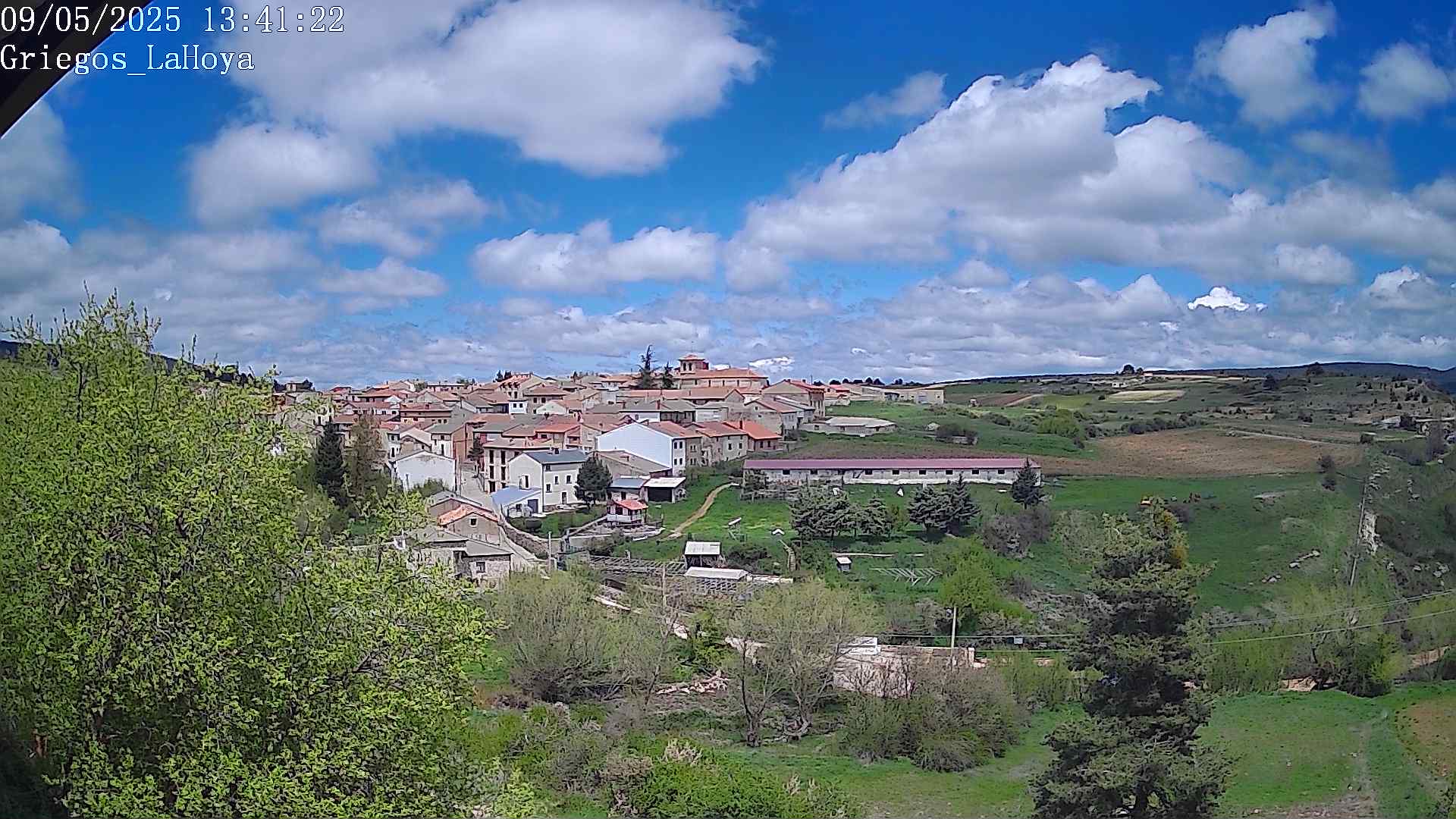 Webcam en Griegos - La Hoya