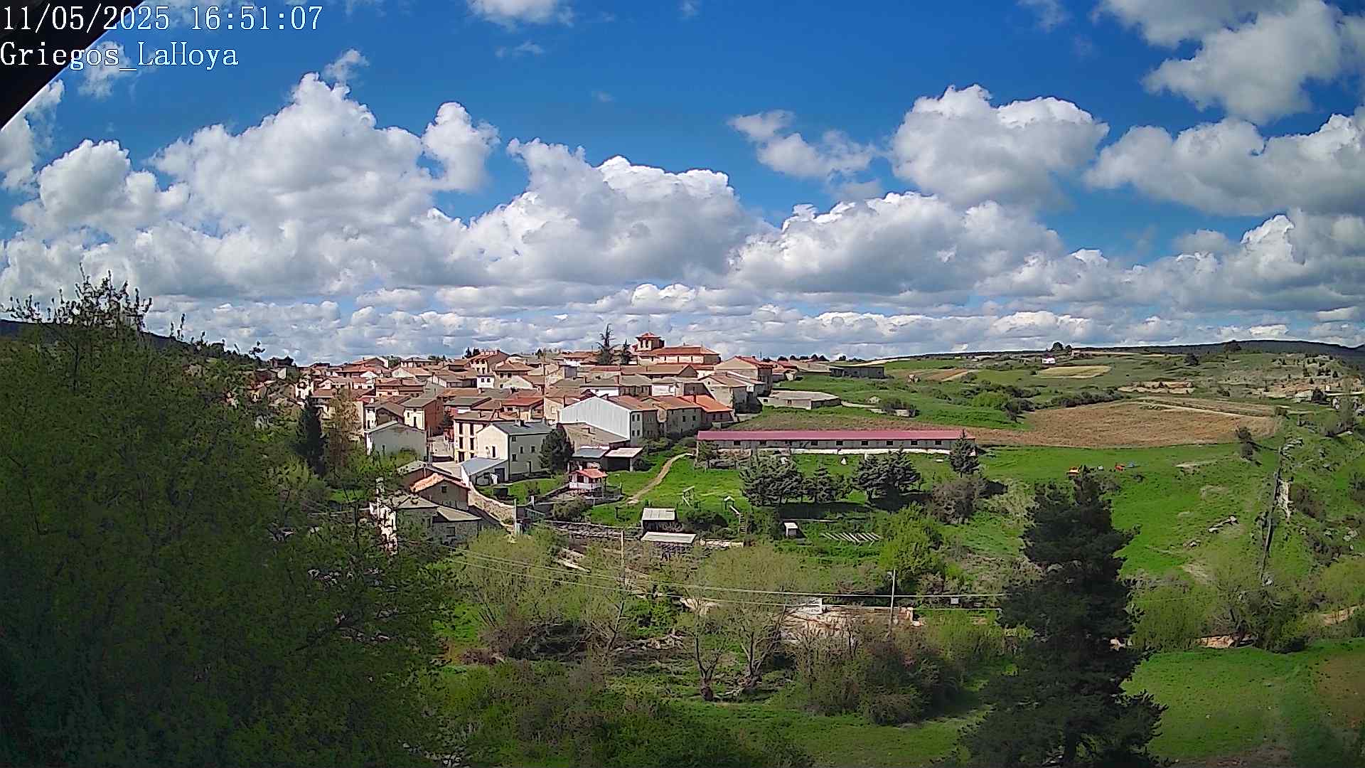 Webcam en Griegos - La Hoya