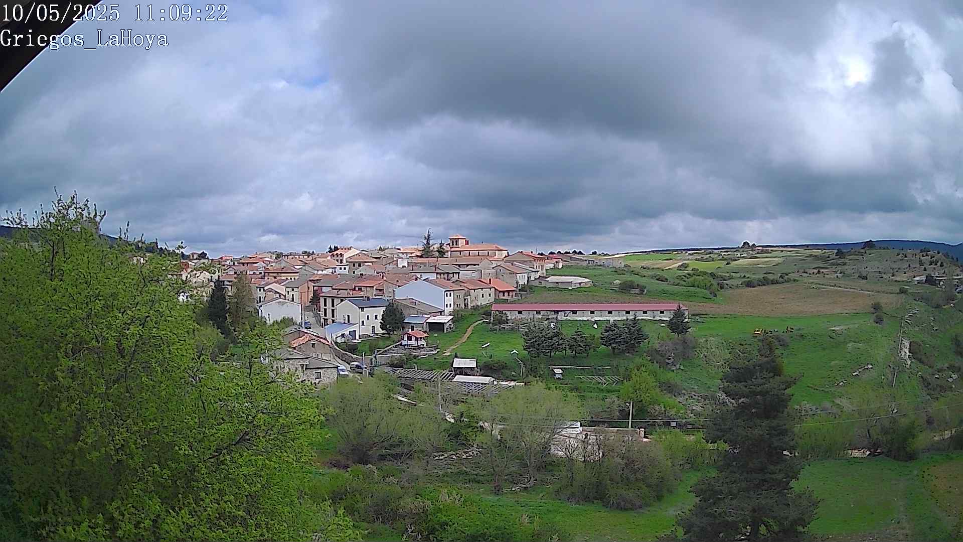 Webcam en Griegos - La Hoya