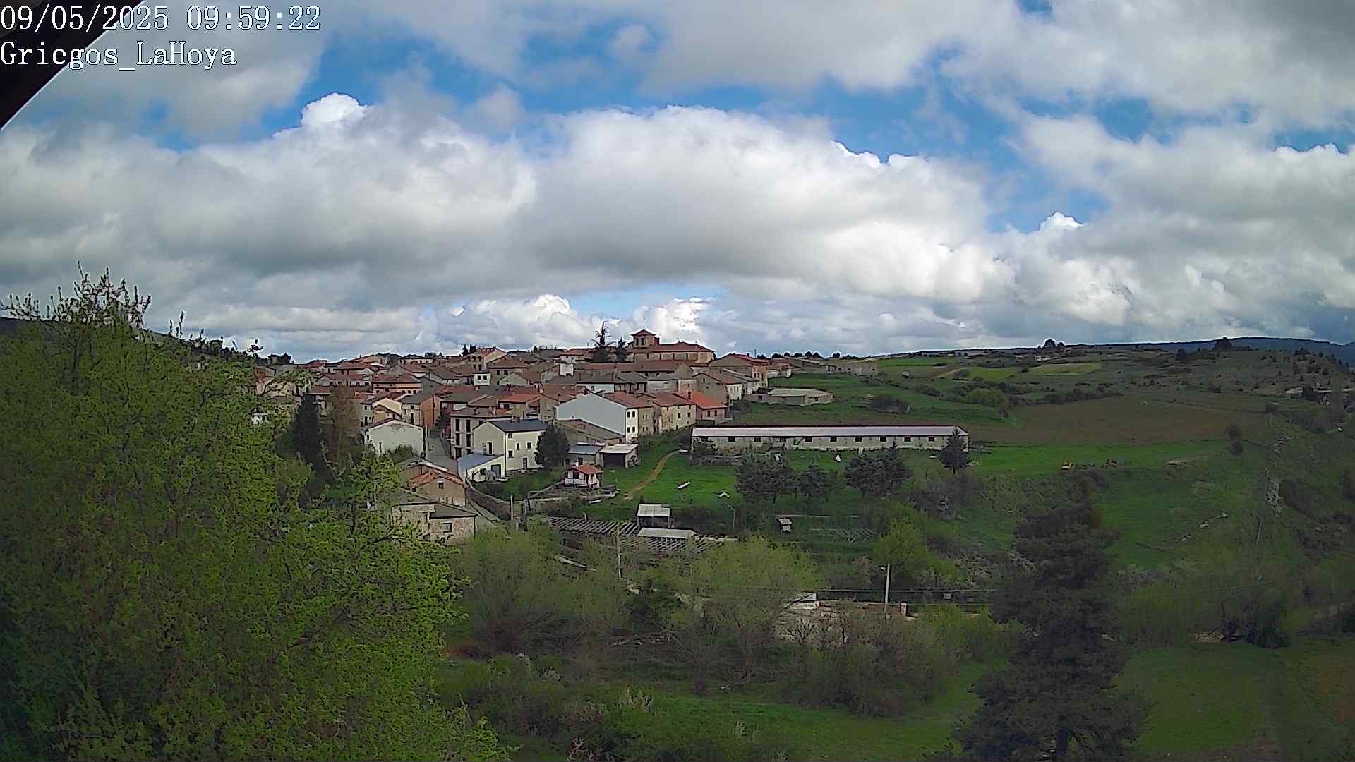 Webcam en Griegos - La Hoya