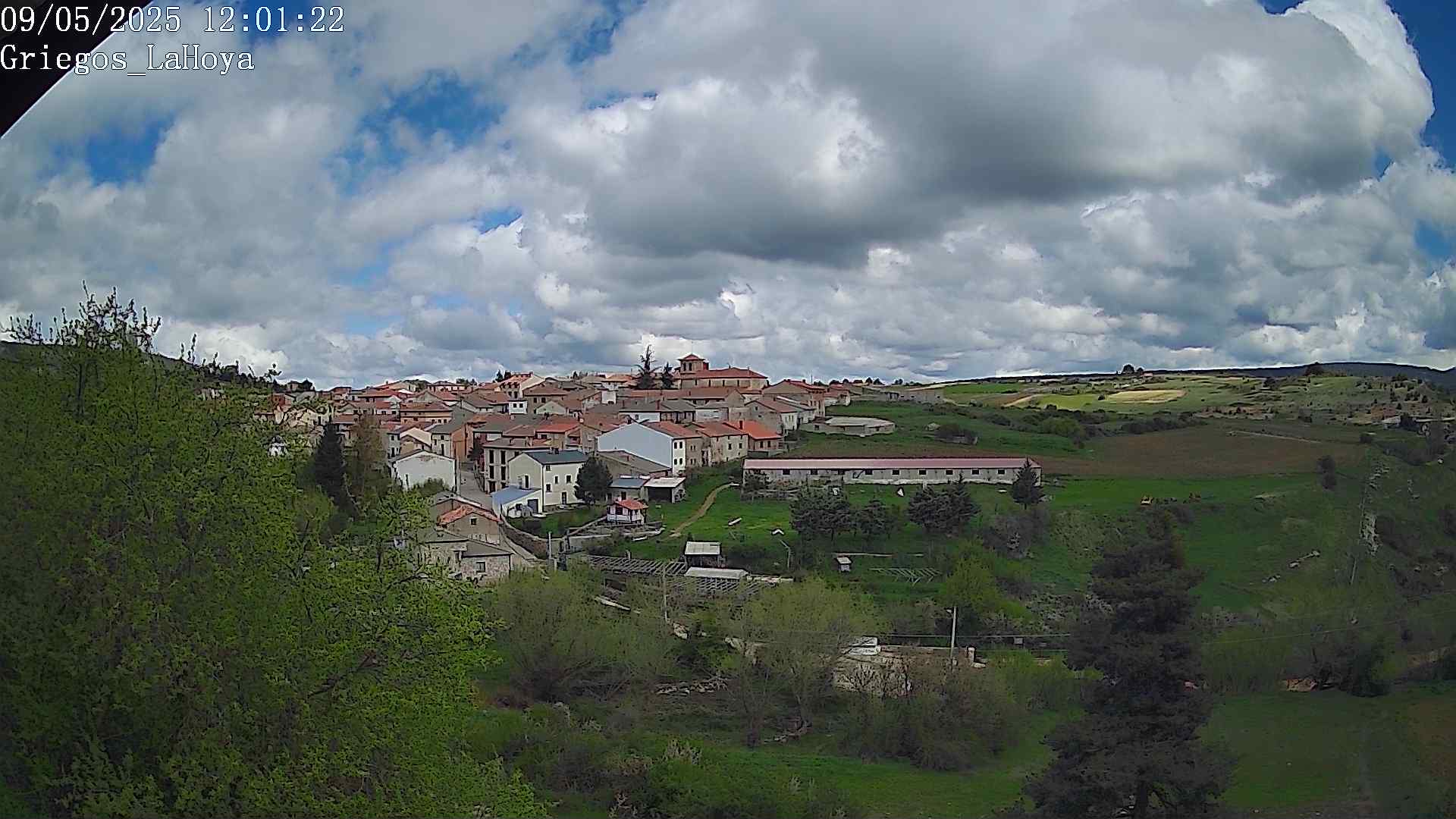 Webcam en Griegos - La Hoya