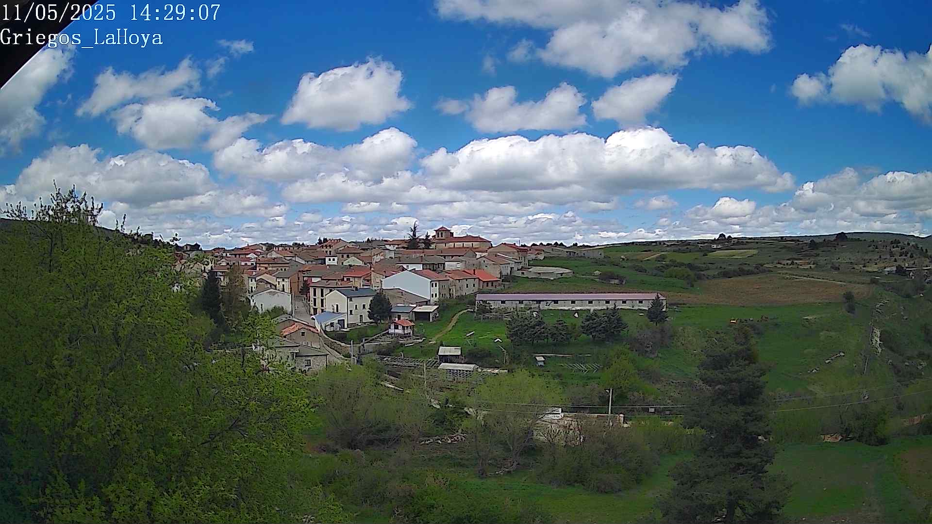 Webcam en Griegos - La Hoya