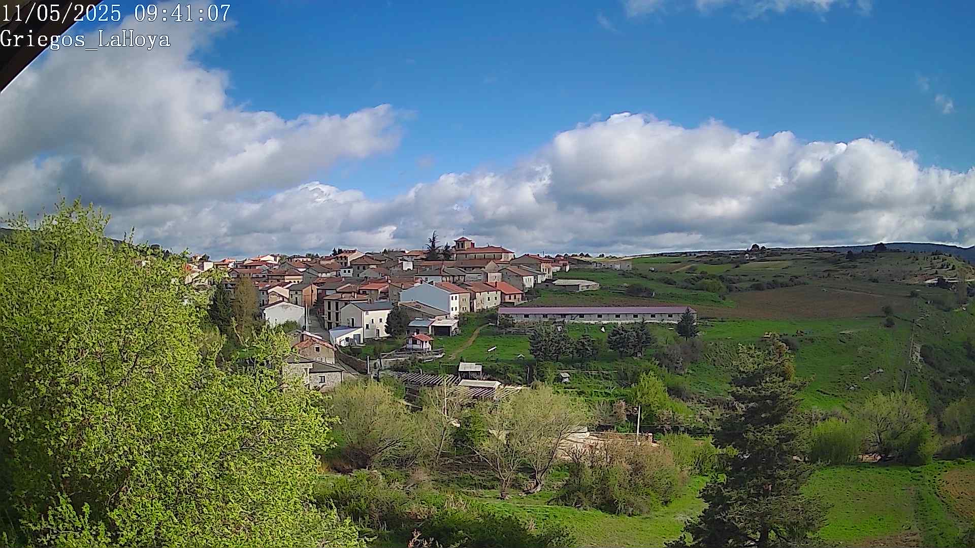 Webcam en Griegos - La Hoya