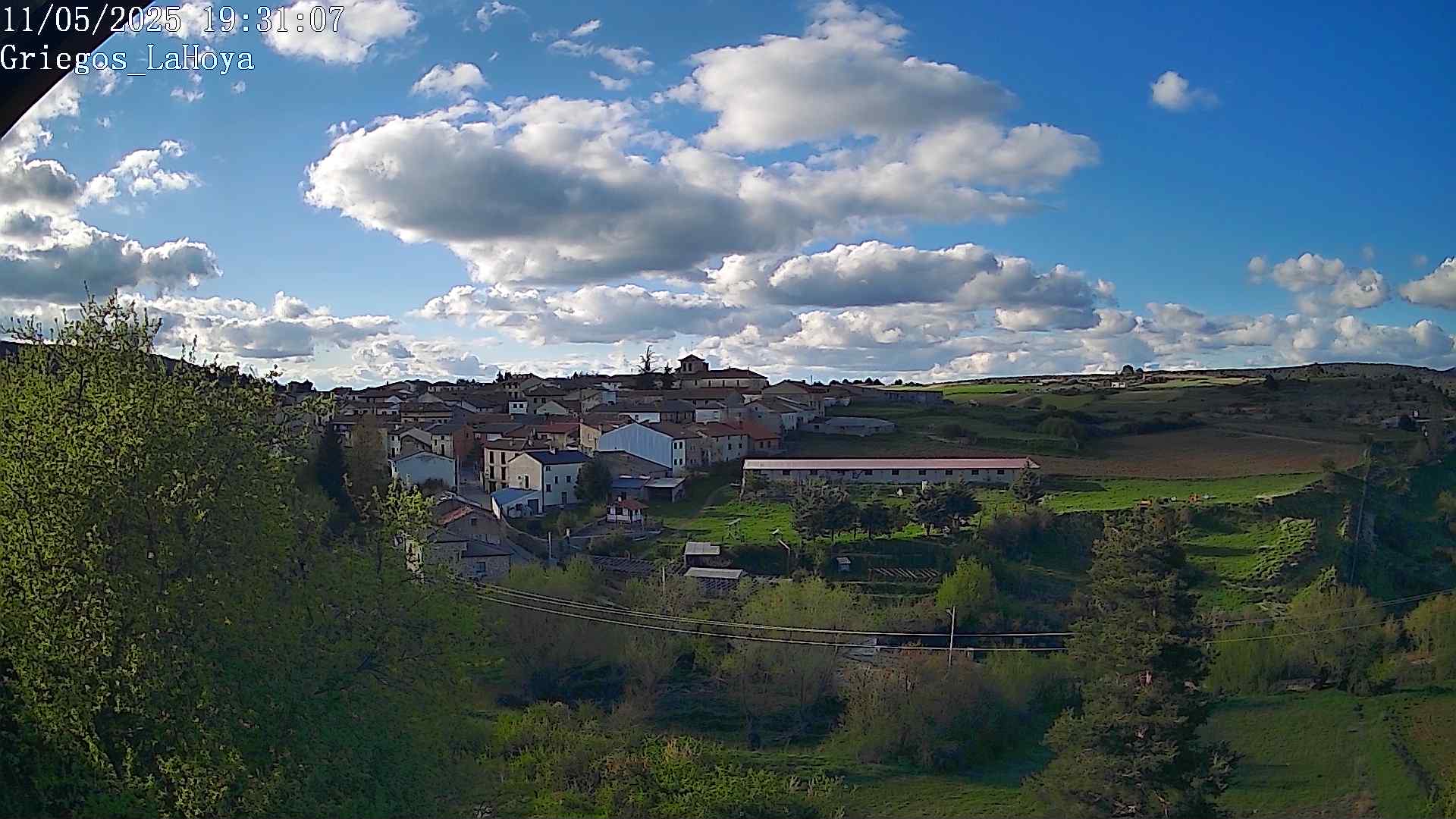 Webcam en Griegos - La Hoya
