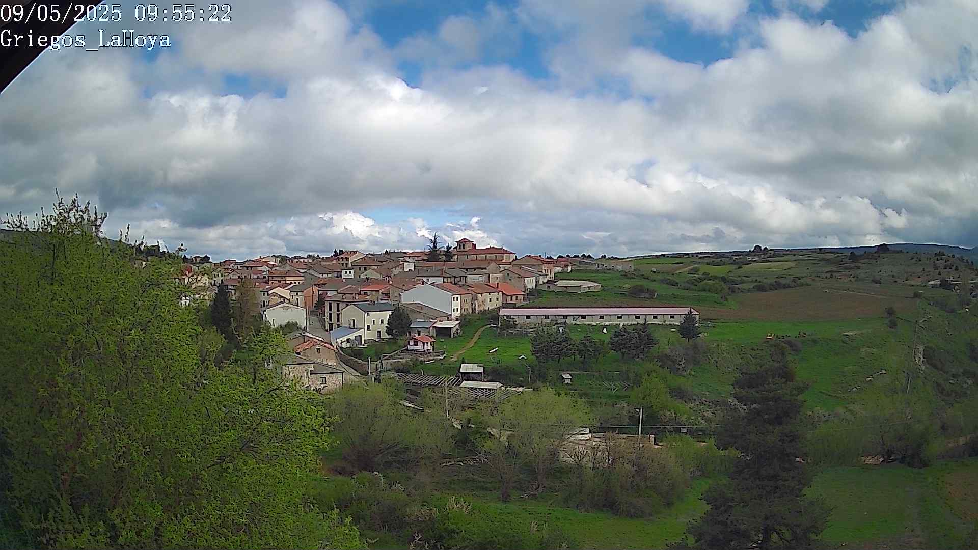 Webcam en Griegos - La Hoya