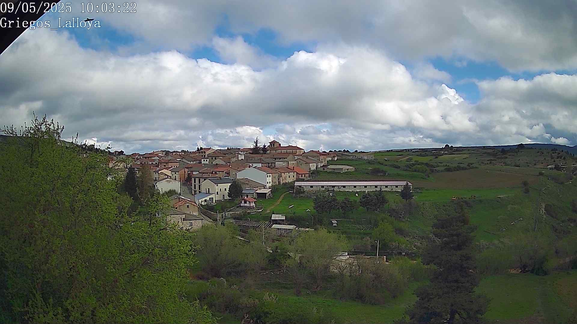 Webcam en Griegos - La Hoya