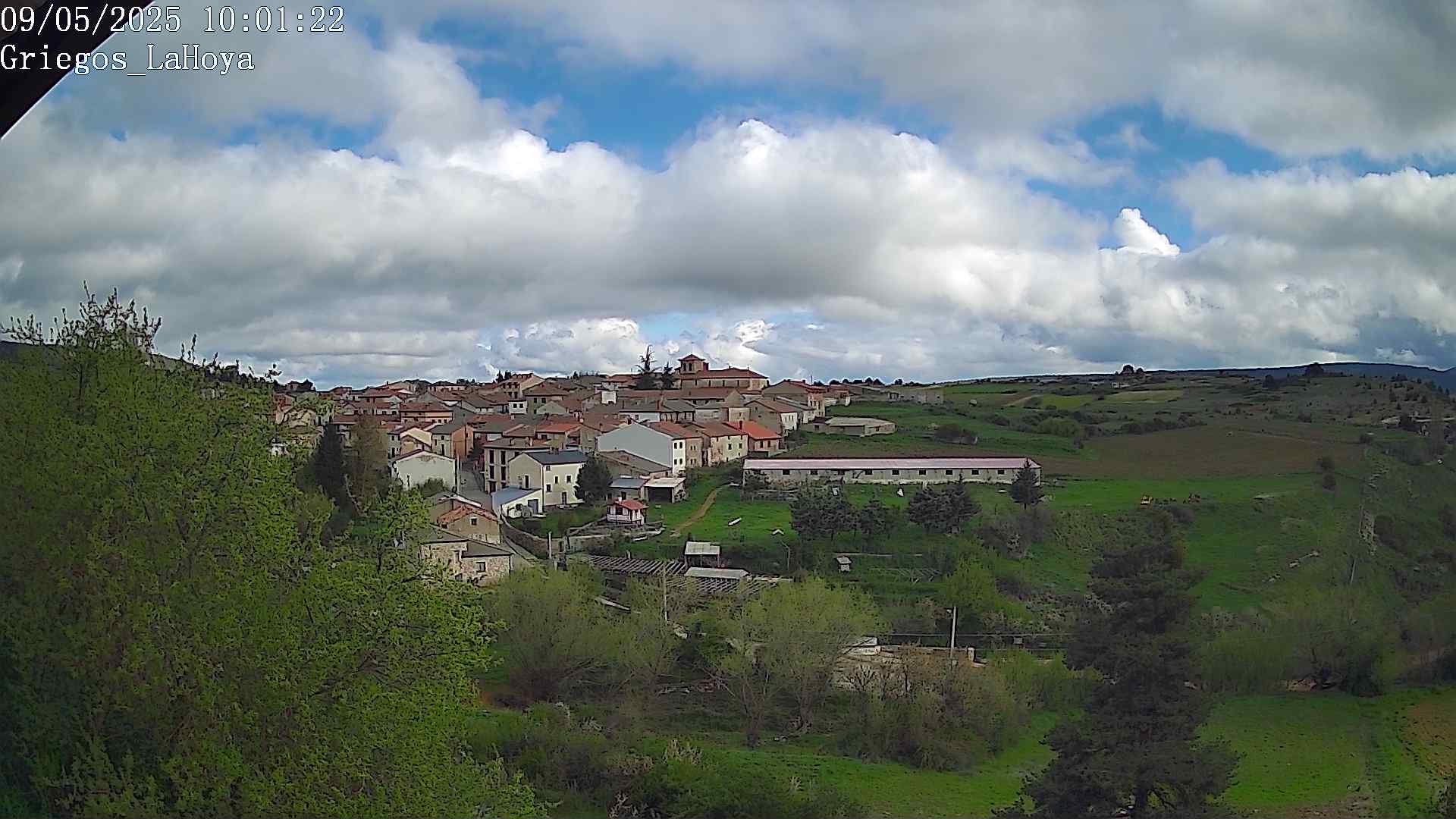Webcam en Griegos - La Hoya