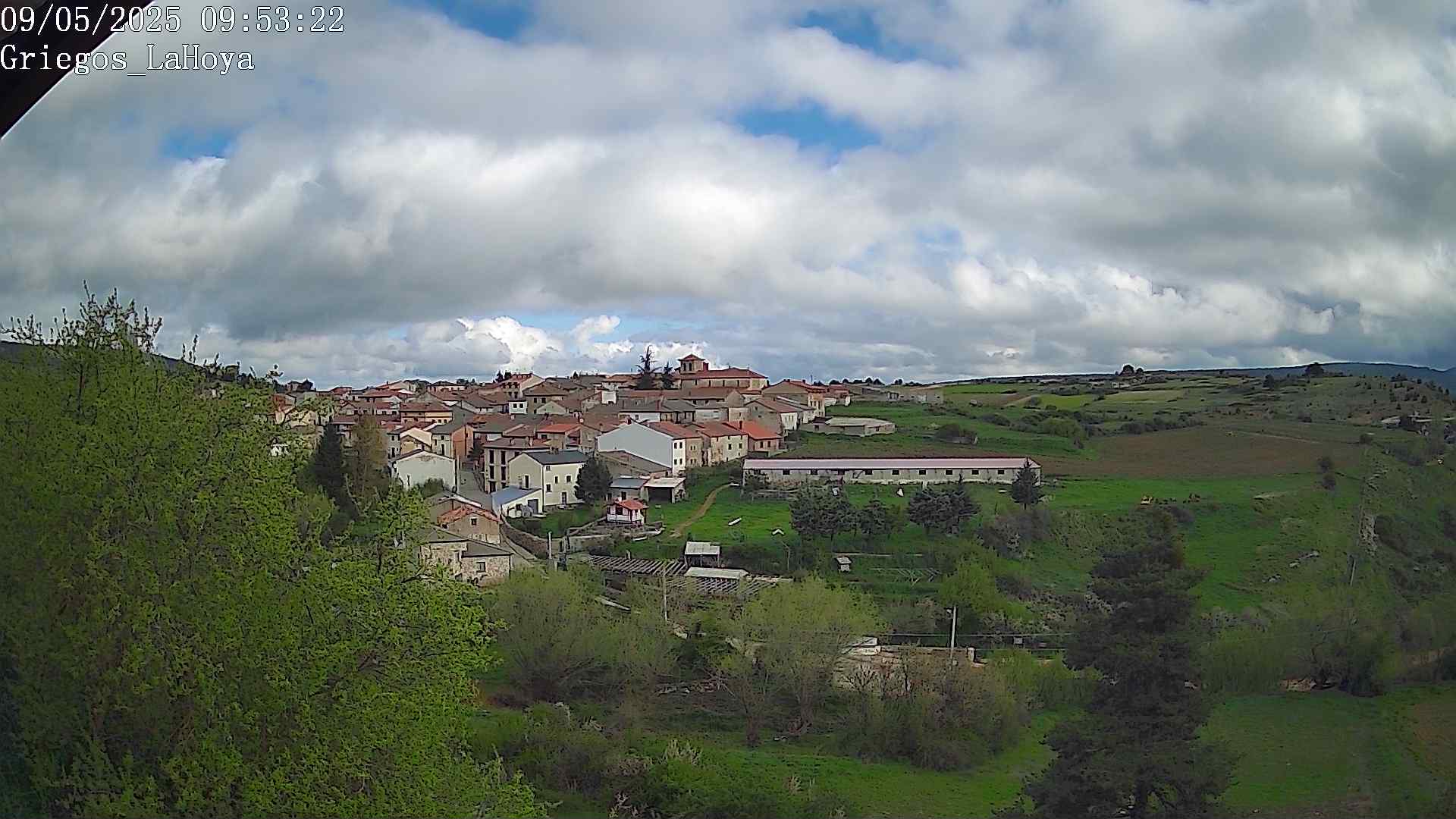 Webcam en Griegos - La Hoya