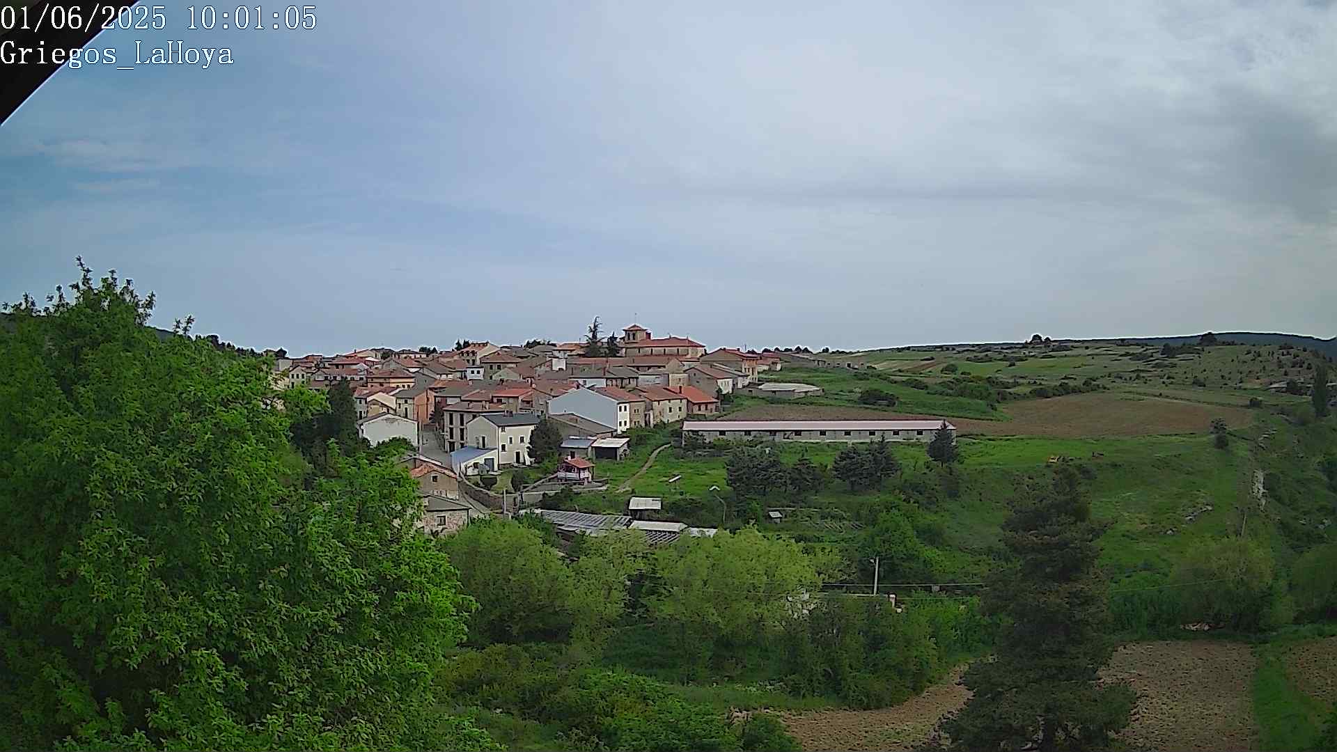 Webcam en Griegos - La Hoya