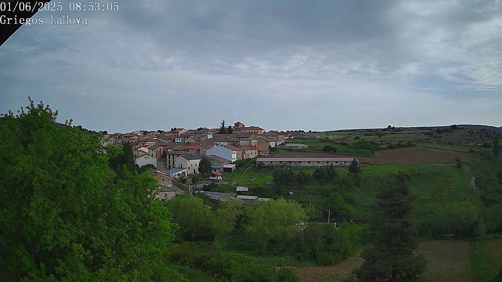 Webcam en Griegos - La Hoya