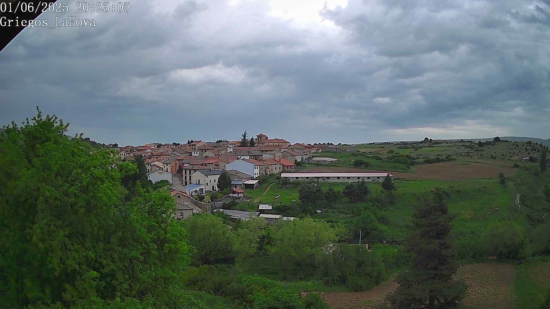 Webcam en Griegos - La Hoya