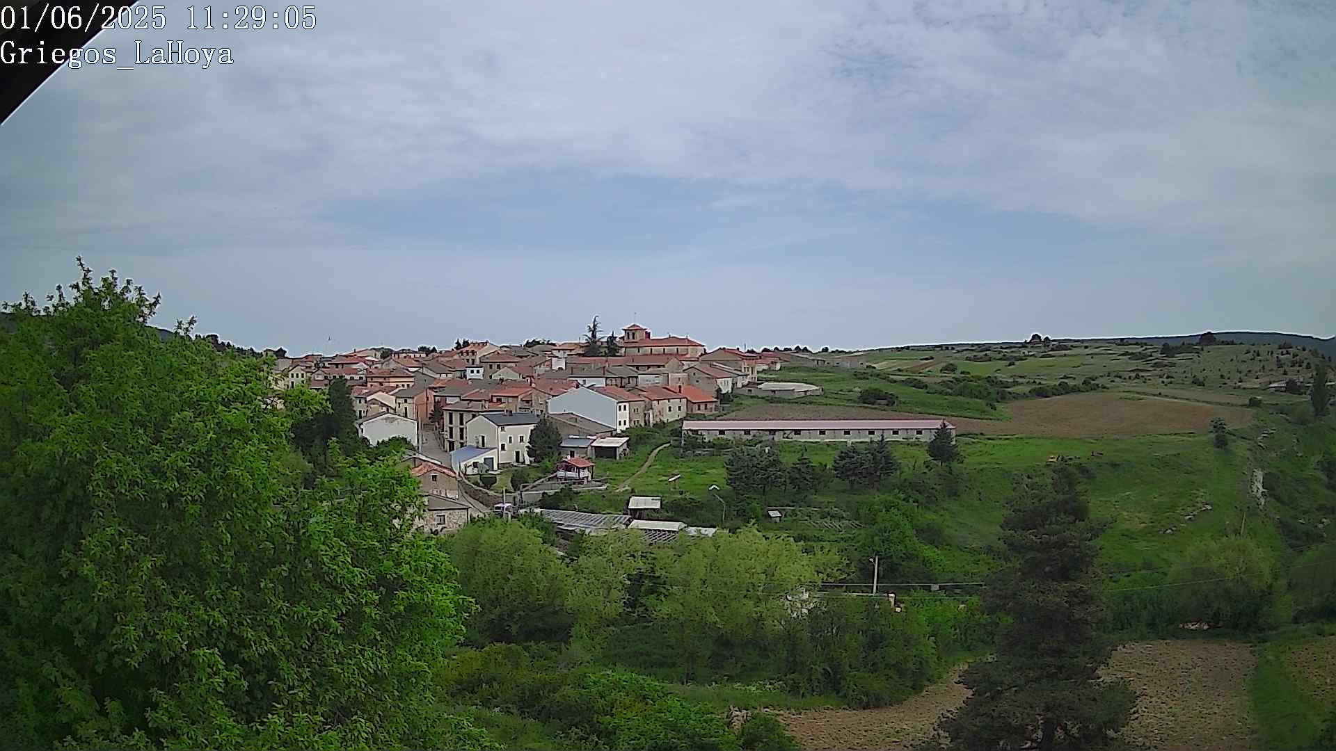 Webcam en Griegos - La Hoya