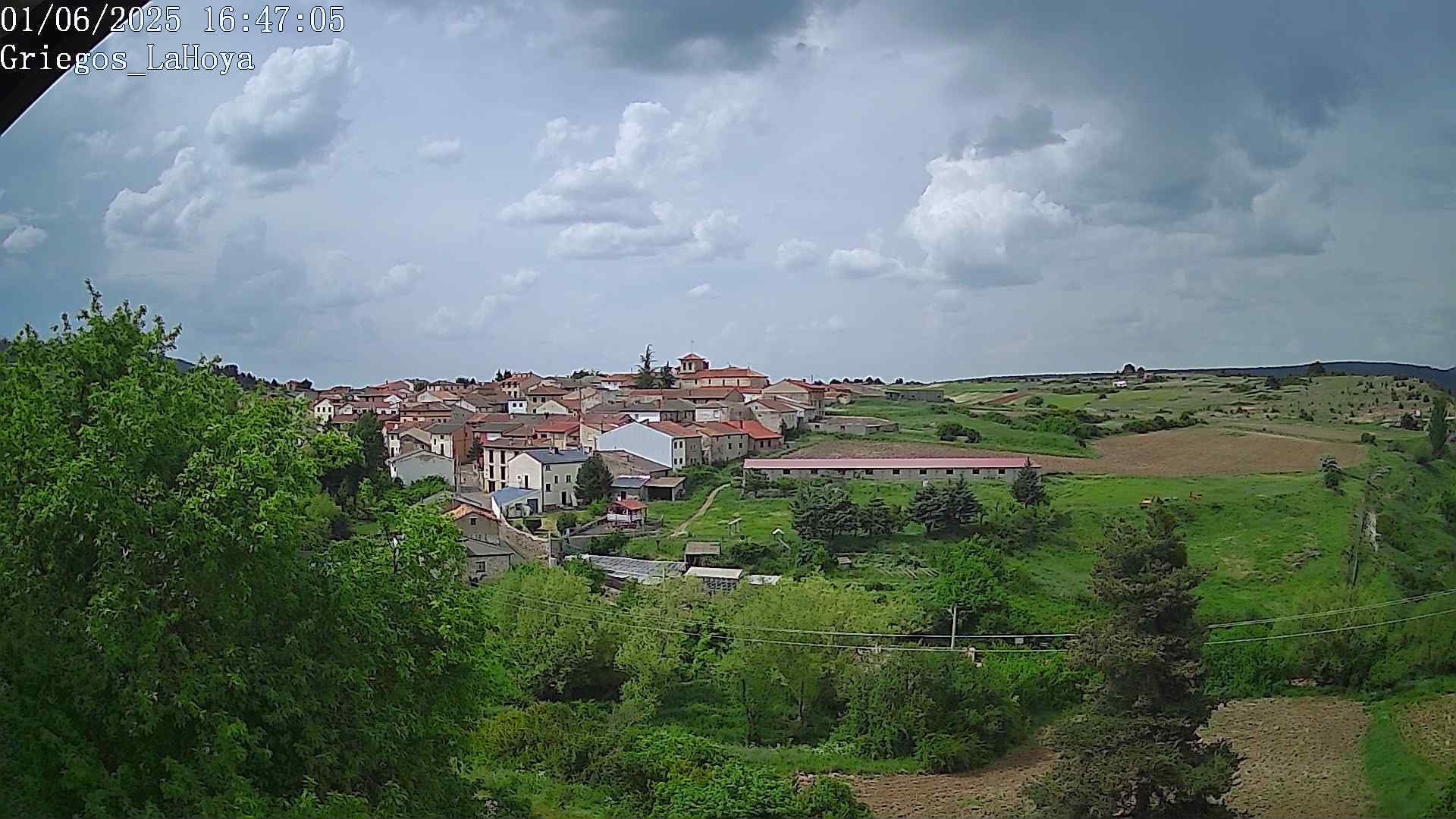Webcam en Griegos - La Hoya