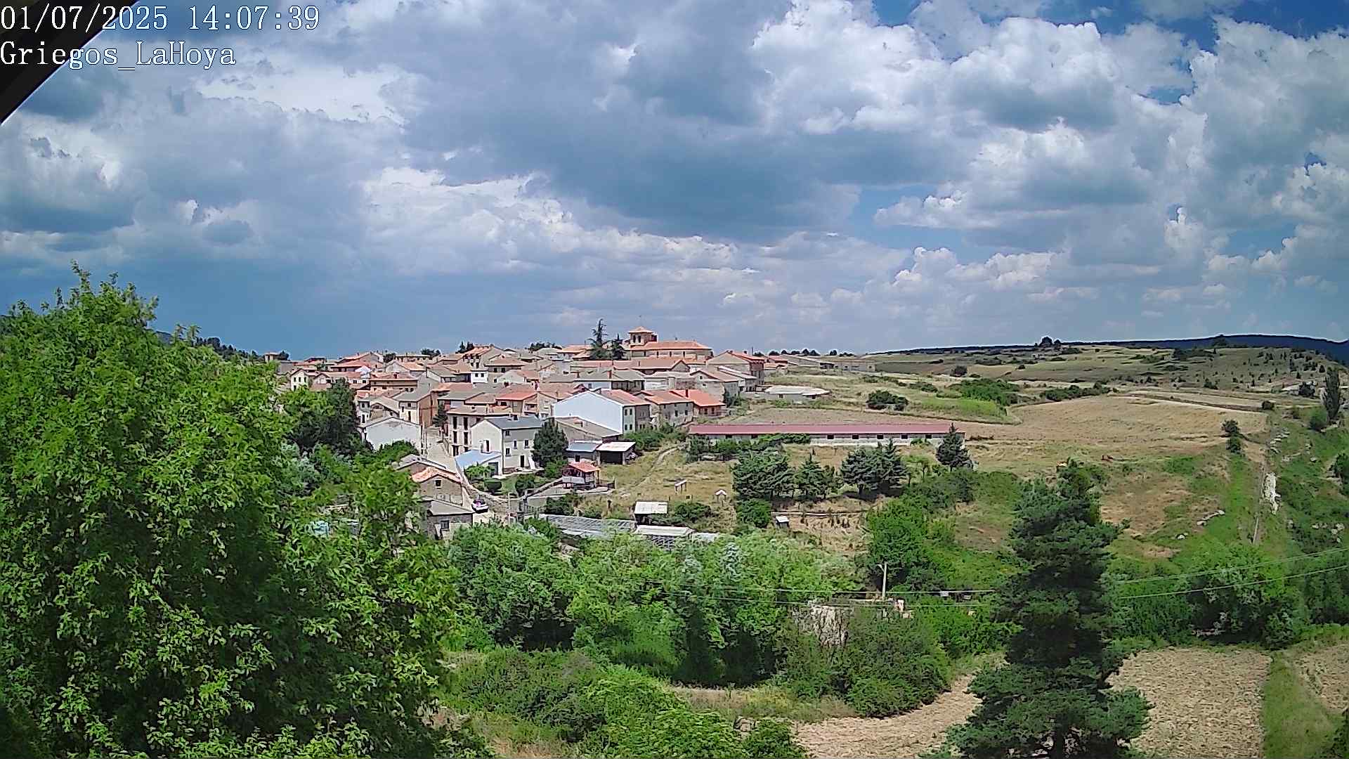Webcam en Griegos - La Hoya