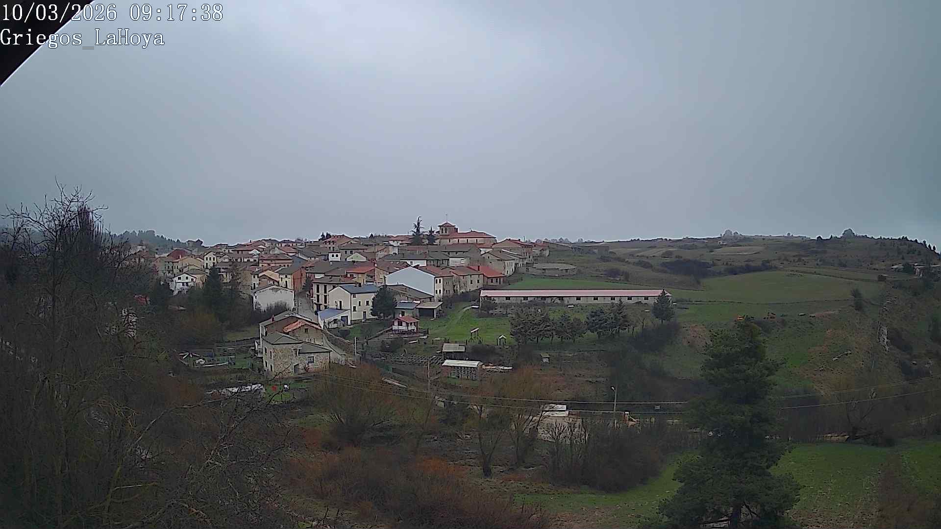 Webcam en Griegos - La Hoya
