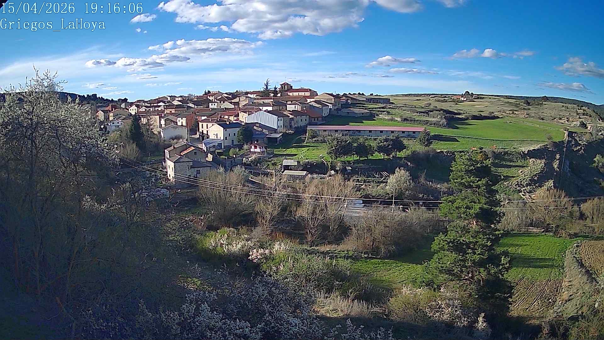 Webcam en Griegos - La Hoya