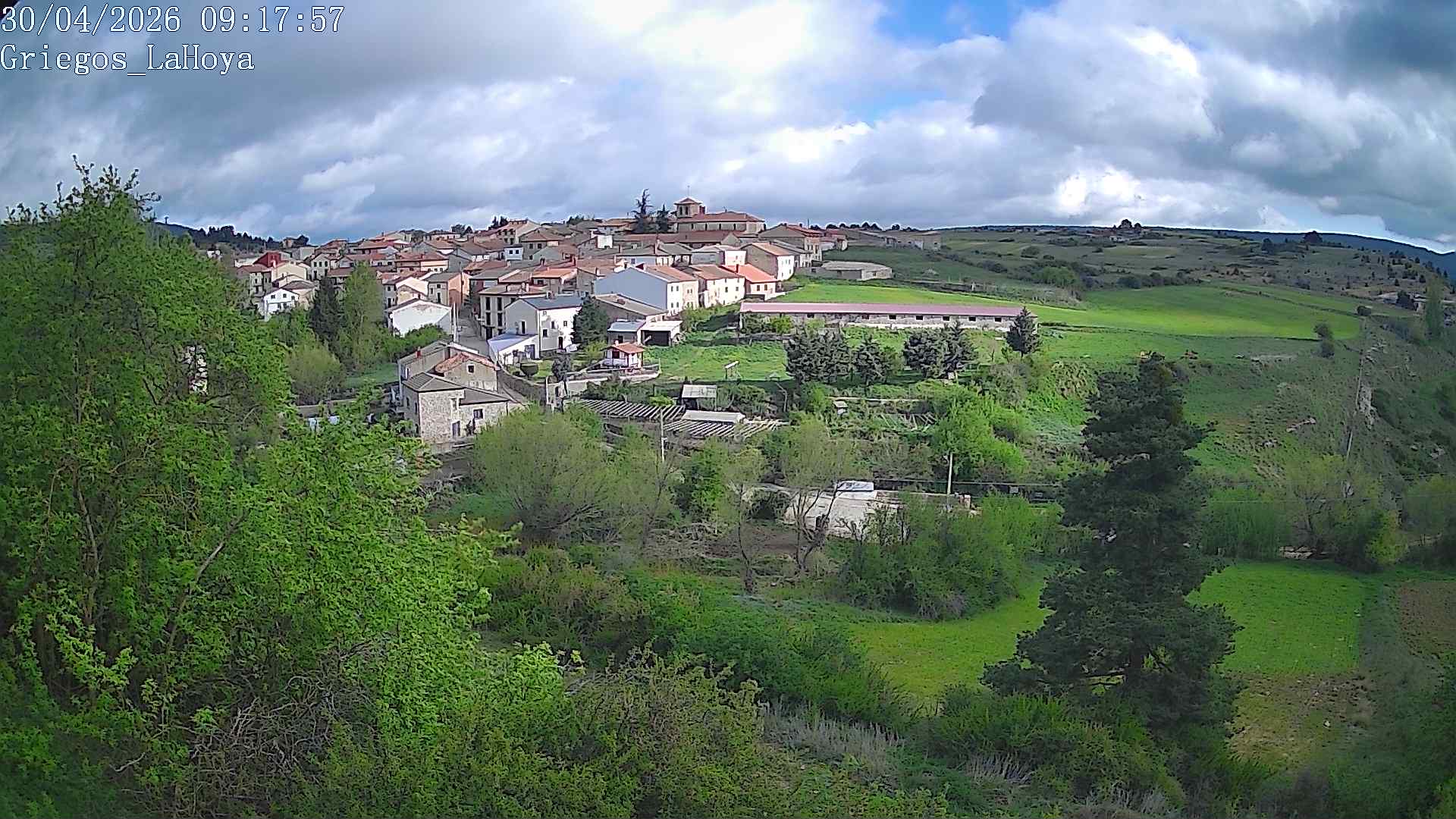Webcam en Griegos - La Hoya
