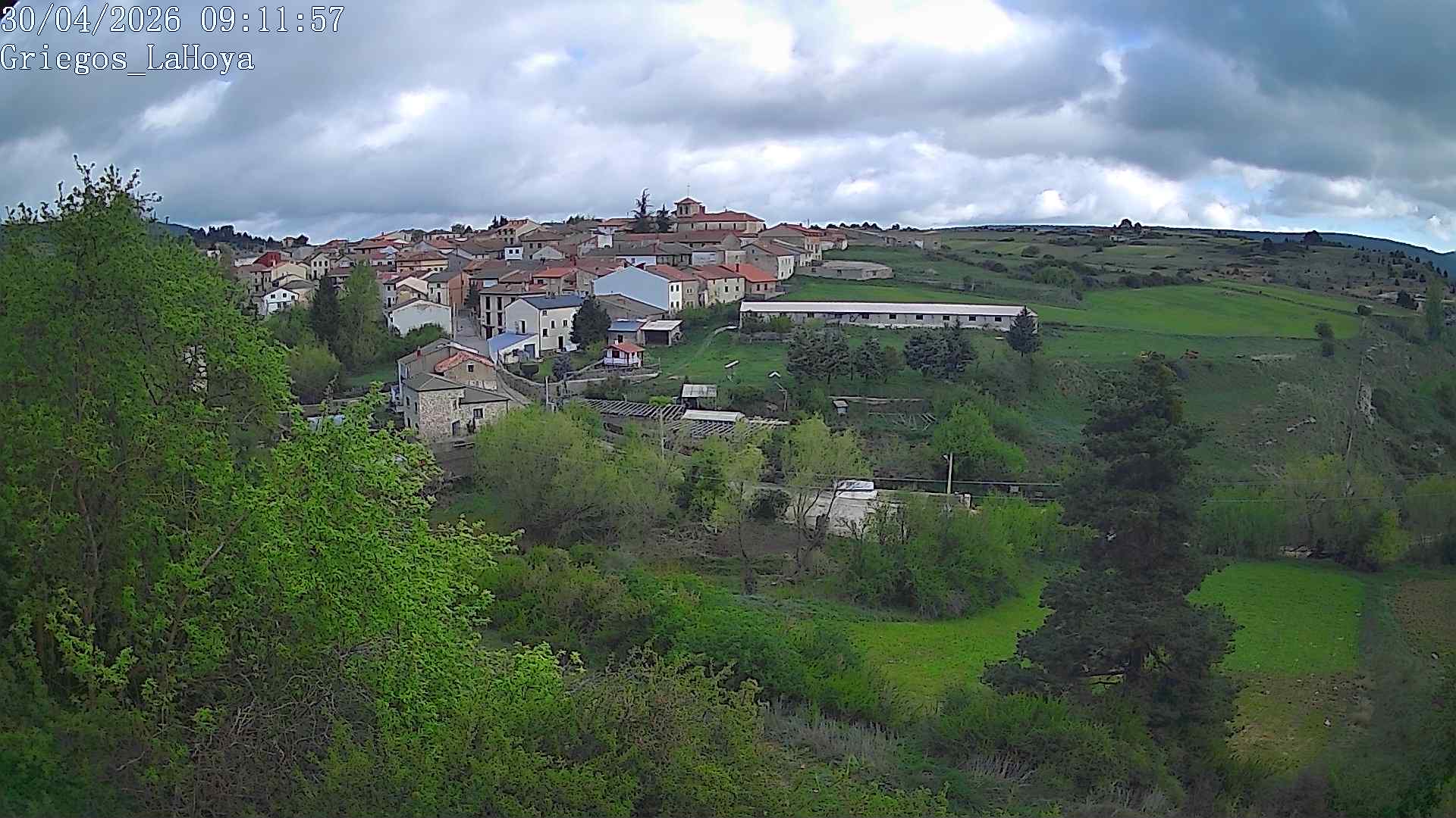 Webcam en Griegos - La Hoya