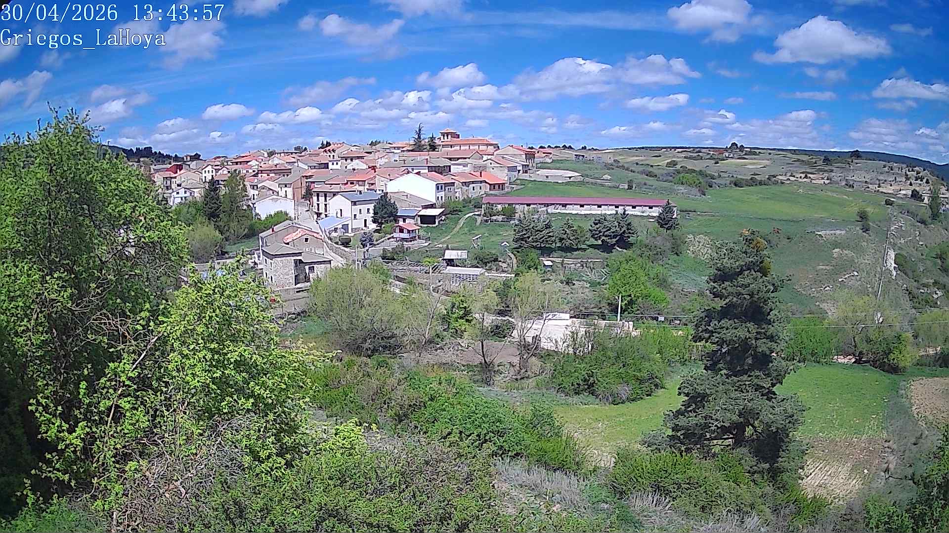 Webcam en Griegos - La Hoya