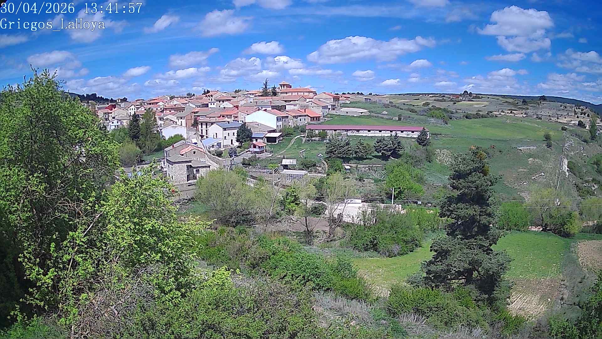 Webcam en Griegos - La Hoya