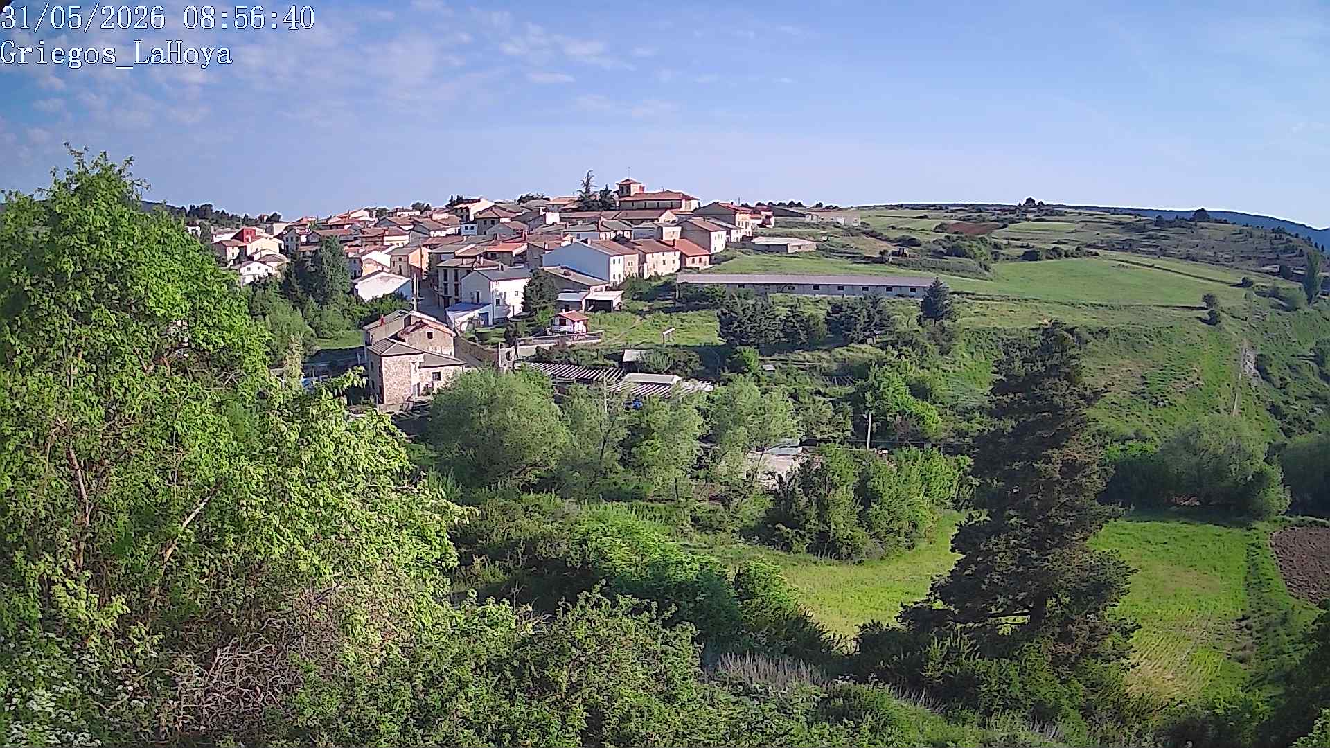 Webcam en Griegos - La Hoya
