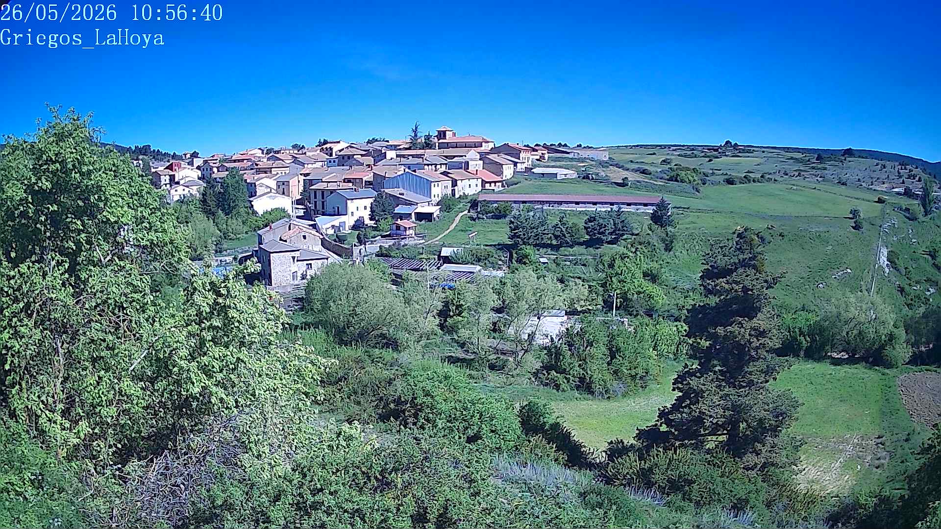 Webcam en Griegos - La Hoya