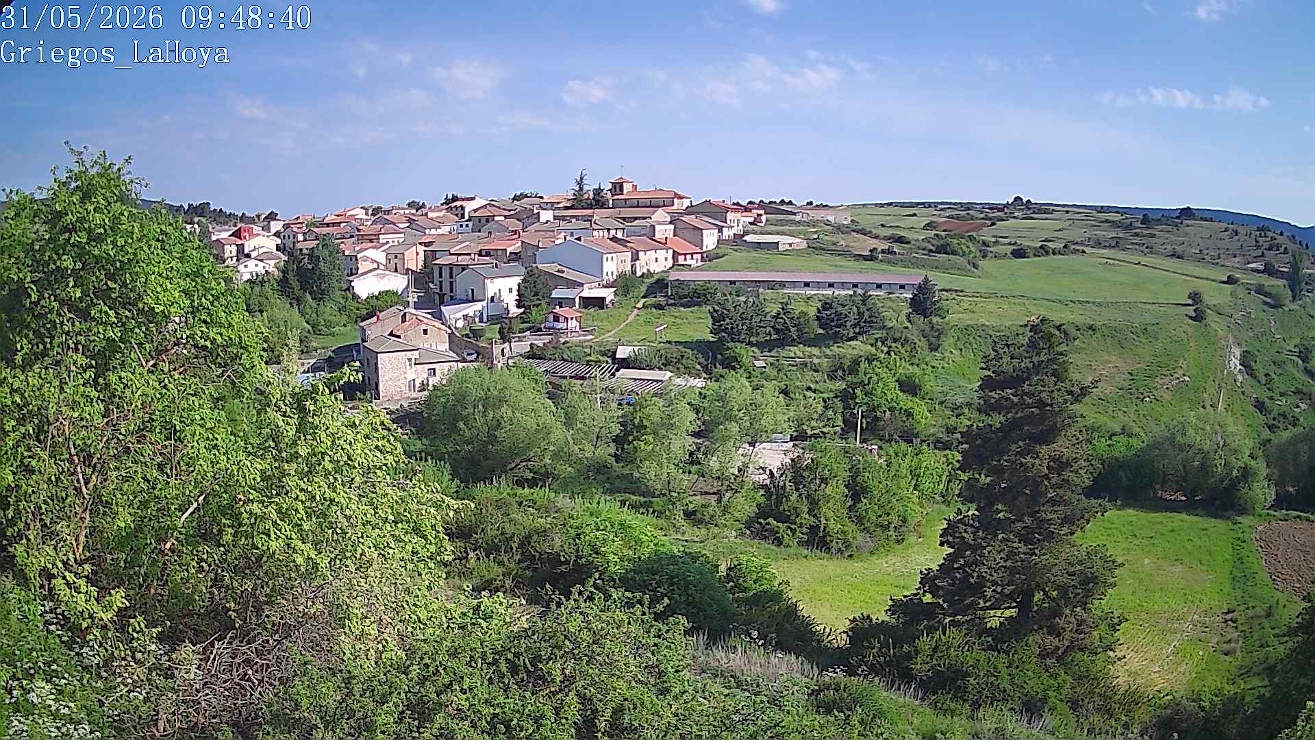 Webcam en Griegos - La Hoya
